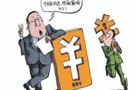 滨州为什么选择专业追讨公司来处理您的债务纠纷？